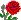 AHR rose